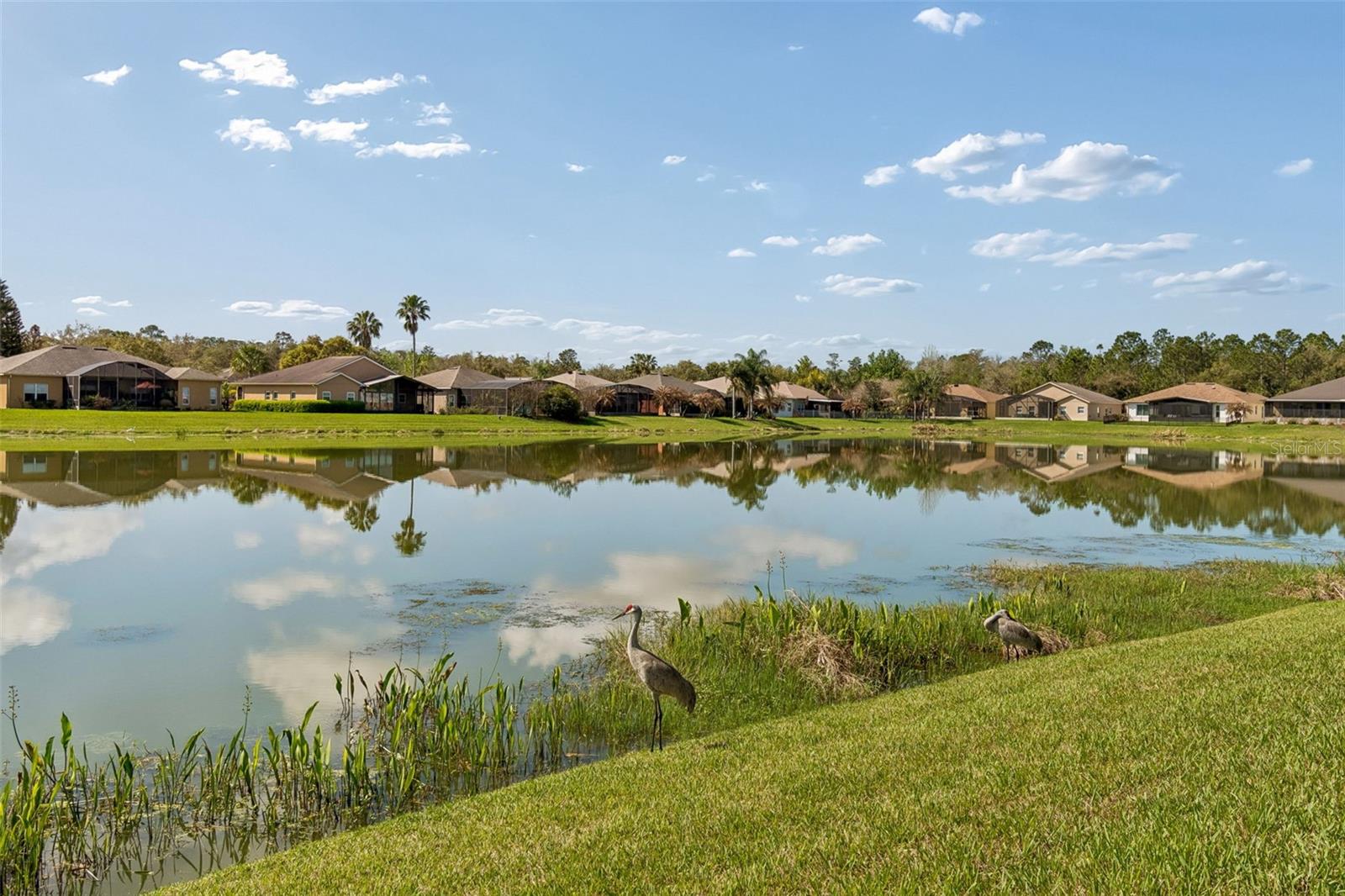 813 GLENDORA RD, KISSIMMEE, FL, 34759