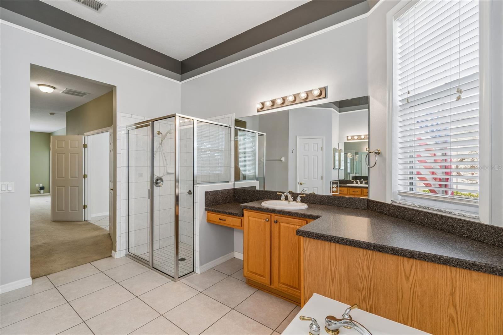 162 TALL PINES PASS, KISSIMMEE, FL, 34759
