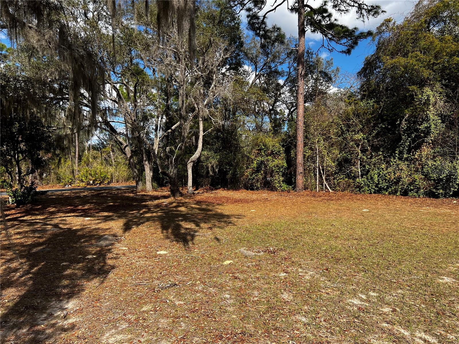 6146 W HERITAGE DR, HOMOSASSA, FL, 34448