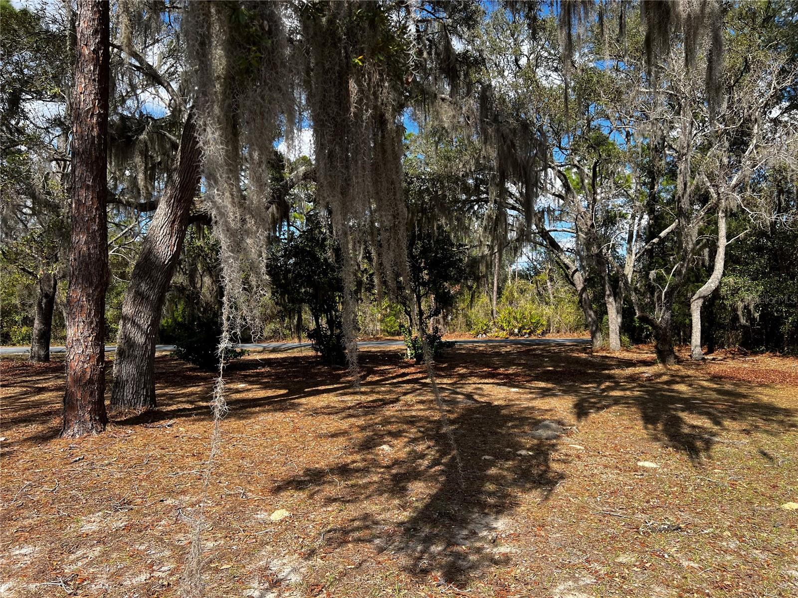 6146 W HERITAGE DR, HOMOSASSA, FL, 34448