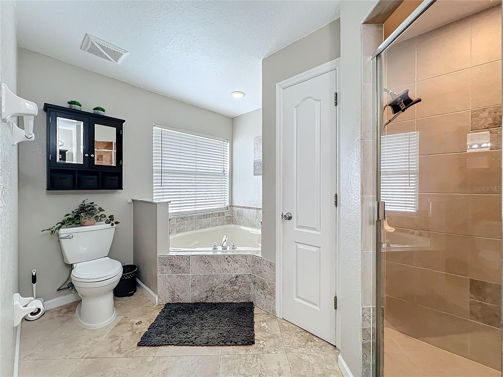 723 SUNBURST COVE LN, WINTER GARDEN, FL, 34787