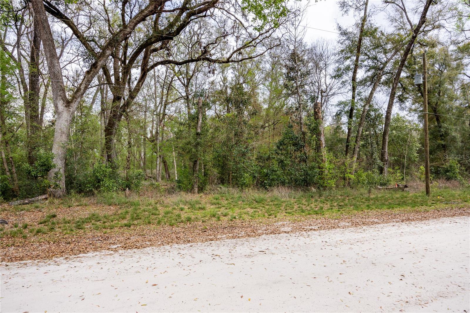 Lot 44 SW BOSTON TER, FORT WHITE, FL, 32038