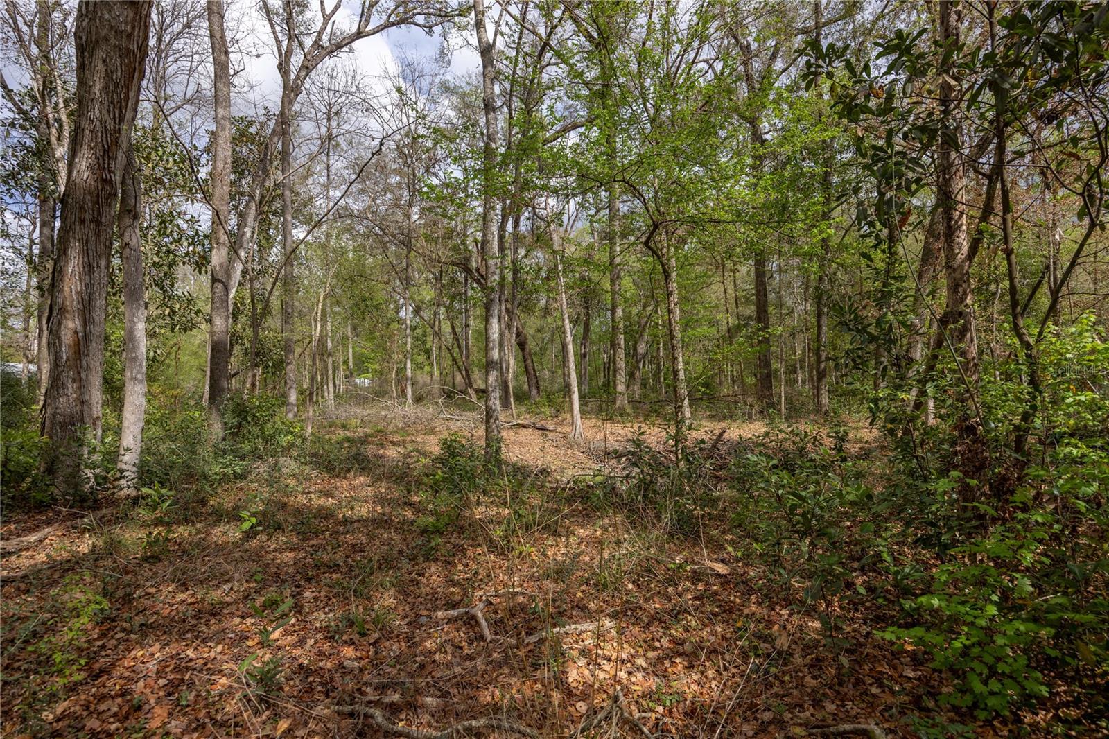 Lot 44 SW BOSTON TER, FORT WHITE, FL, 32038