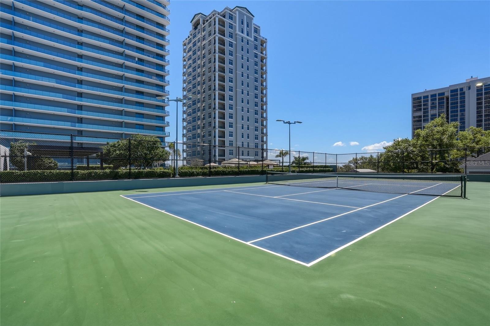 3101 BAYSHORE BLVD #504, TAMPA, FL, 33629