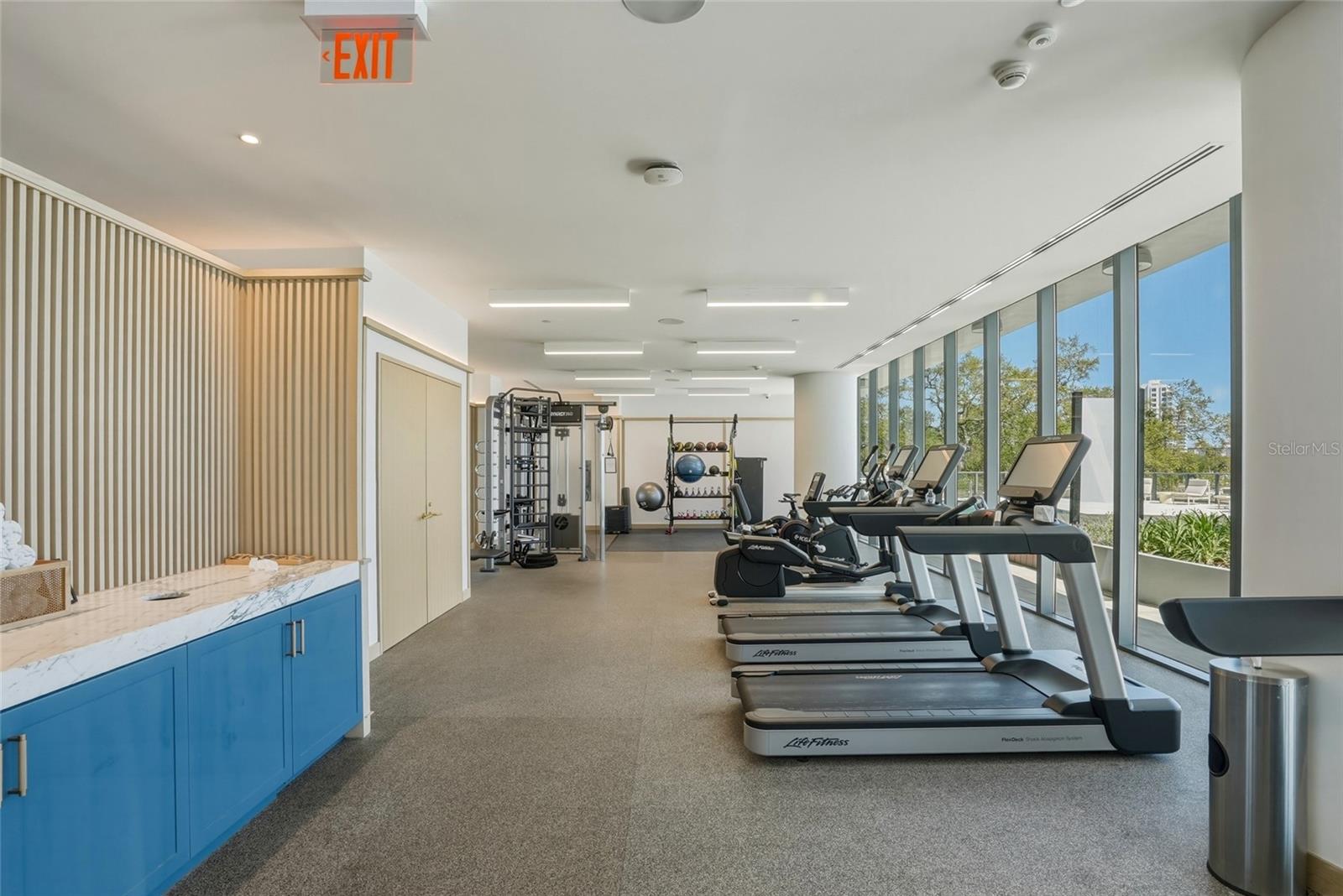 3101 BAYSHORE BLVD #504, TAMPA, FL, 33629