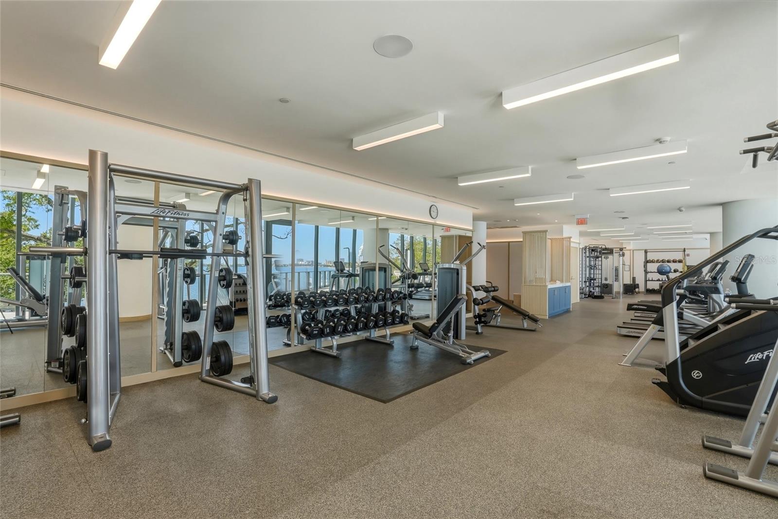3101 BAYSHORE BLVD #504, TAMPA, FL, 33629