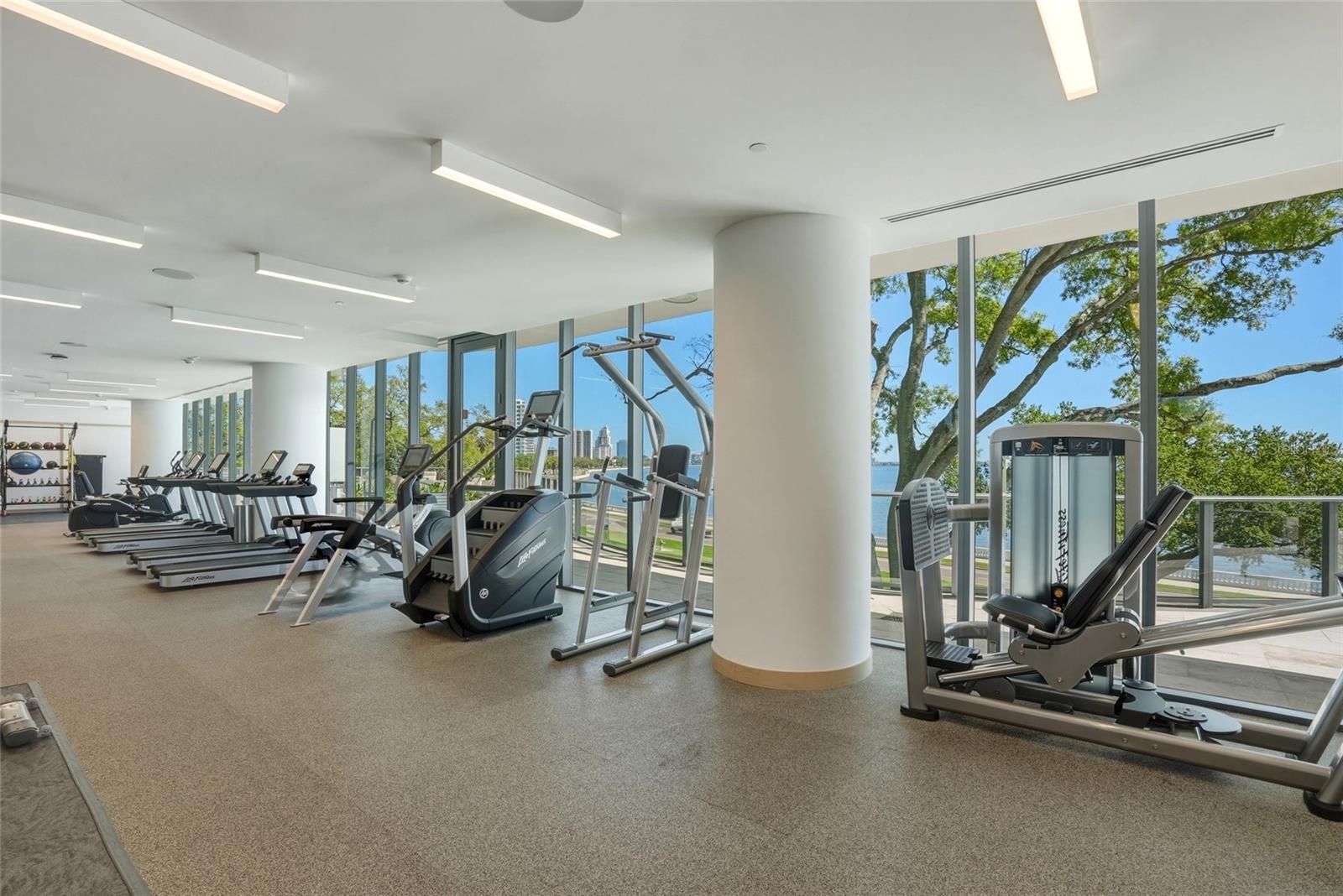 3101 BAYSHORE BLVD #504, TAMPA, FL, 33629