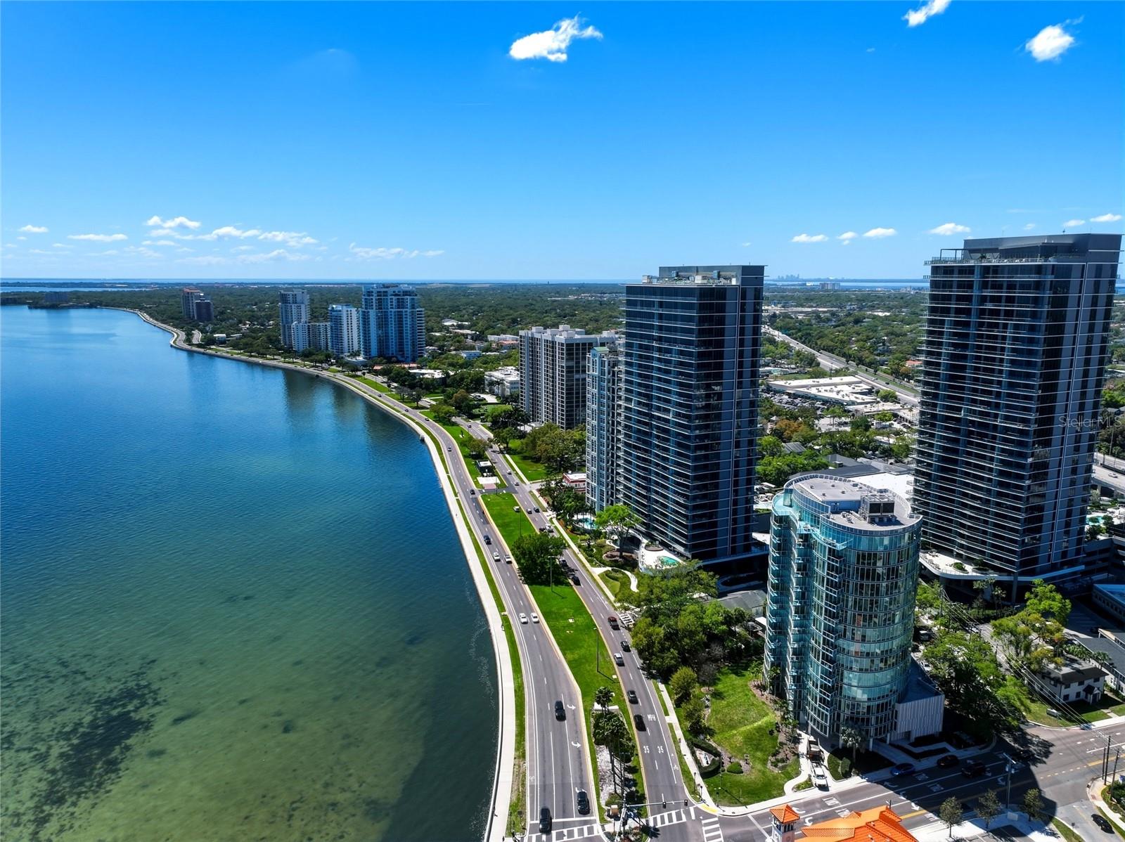 3101 BAYSHORE BLVD #504, TAMPA, FL, 33629