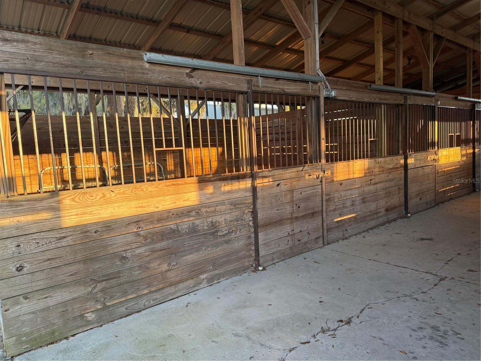 10555 NW 28TH PL, OCALA, FL, 34482