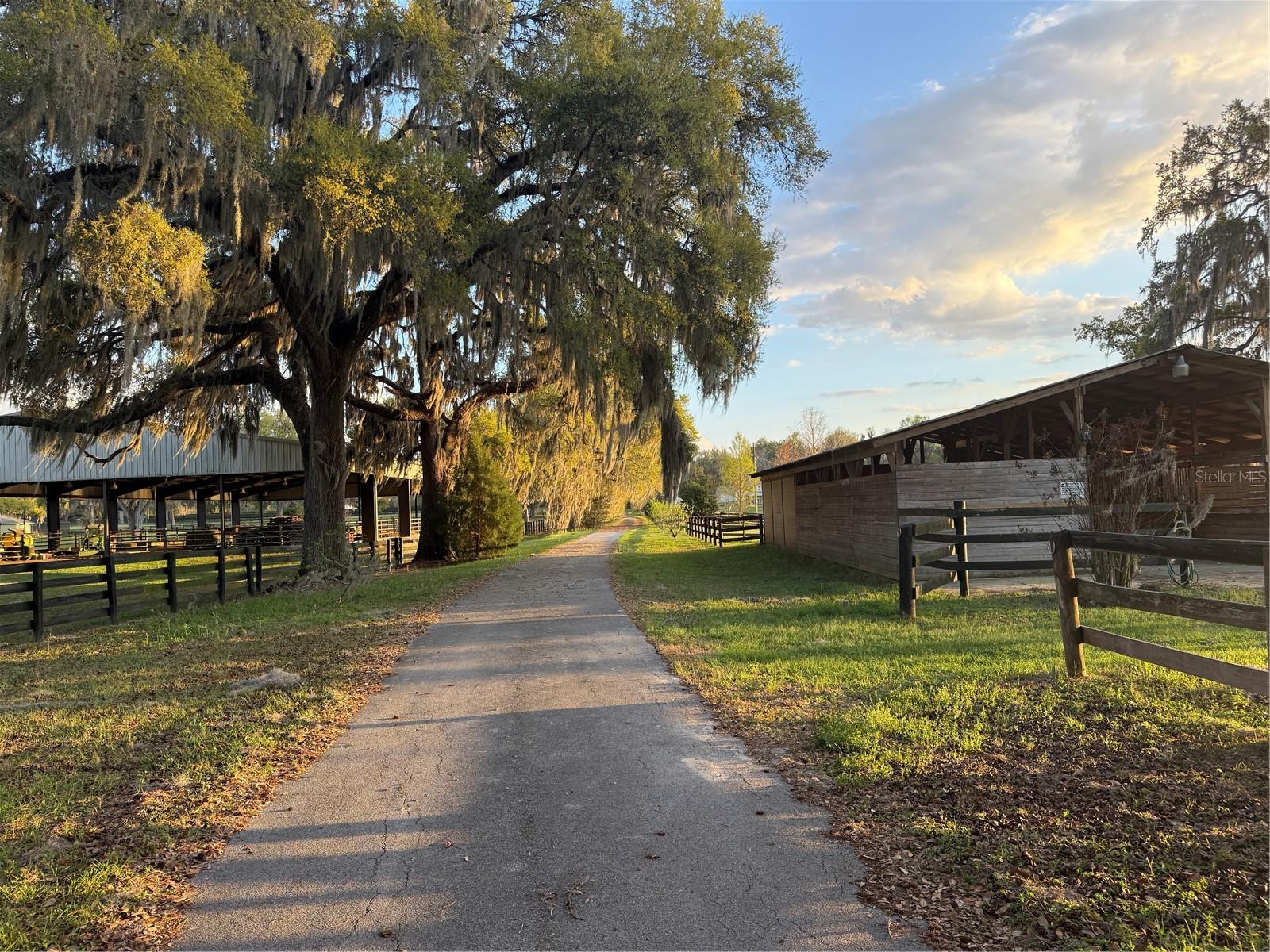 10555 NW 28TH PL, OCALA, FL, 34482