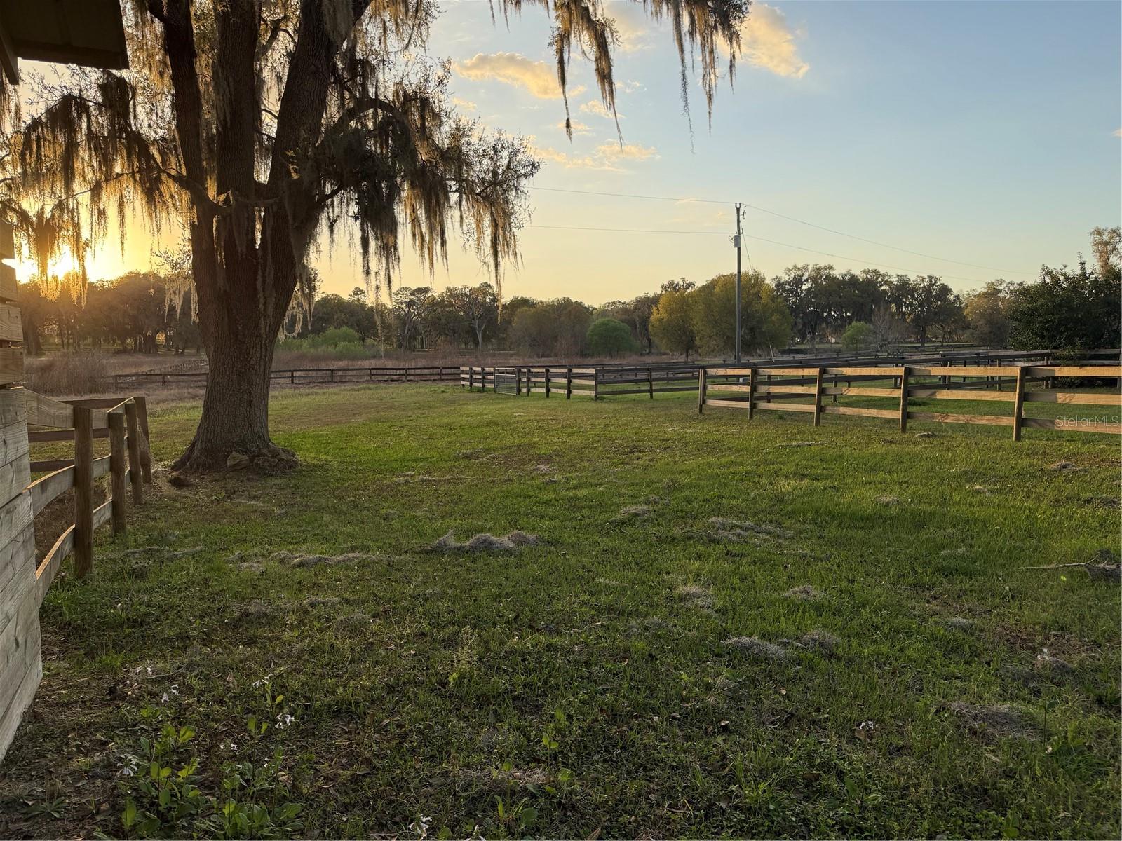 10555 NW 28TH PL, OCALA, FL, 34482