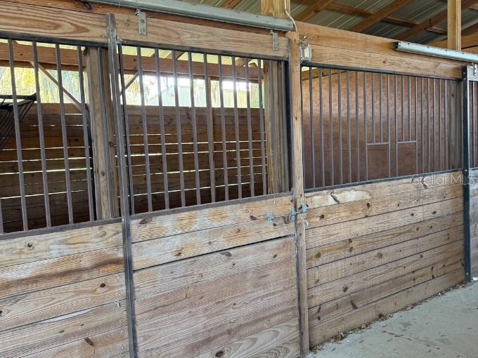 10555 NW 28TH PL, OCALA, FL, 34482