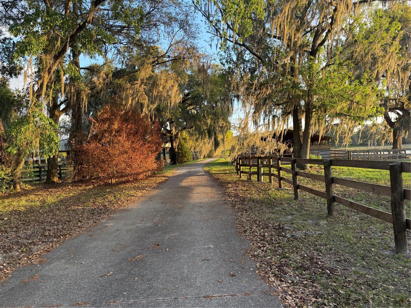 10555 NW 28TH PL, OCALA, FL, 34482