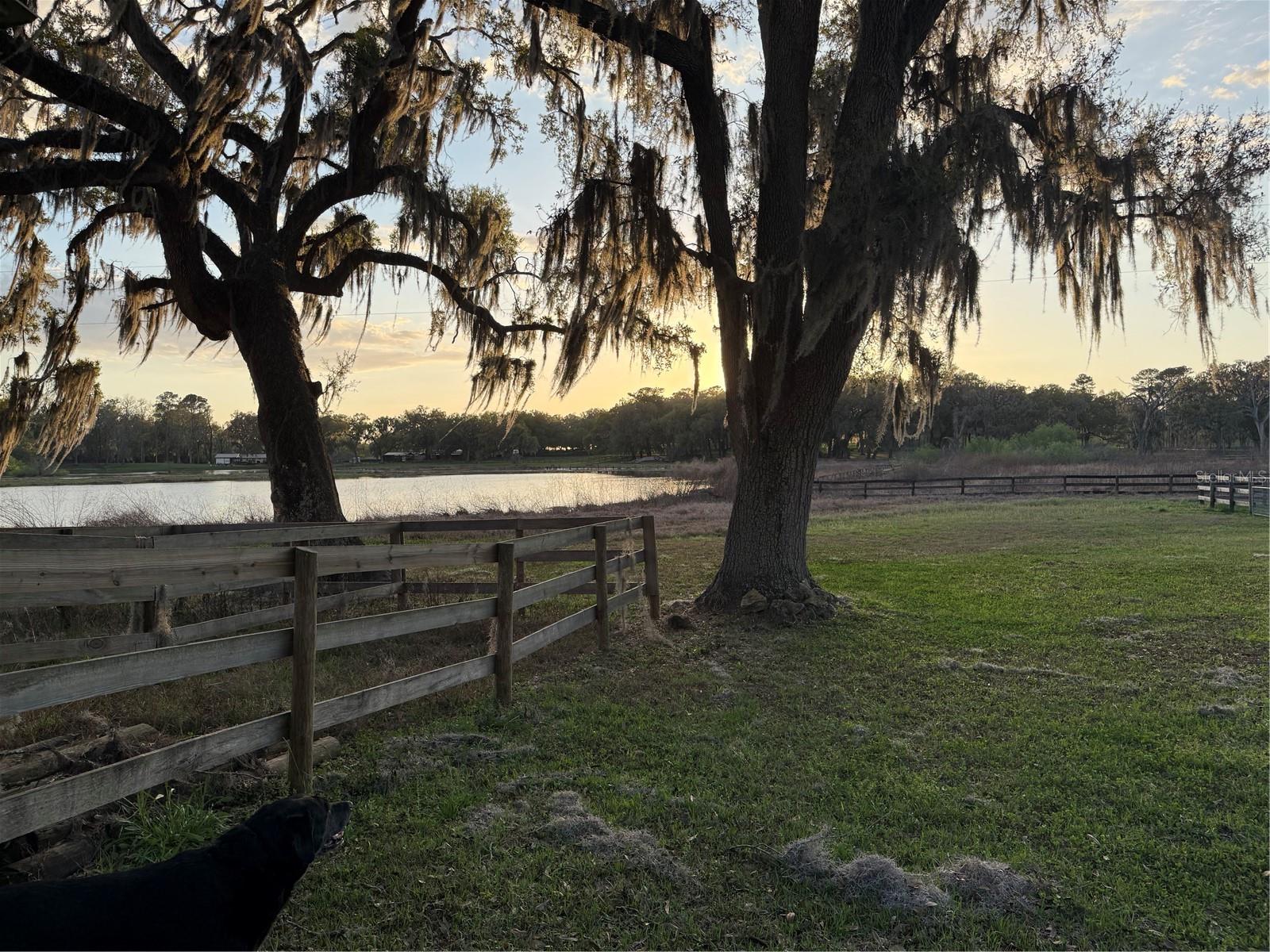 10555 NW 28TH PL, OCALA, FL, 34482