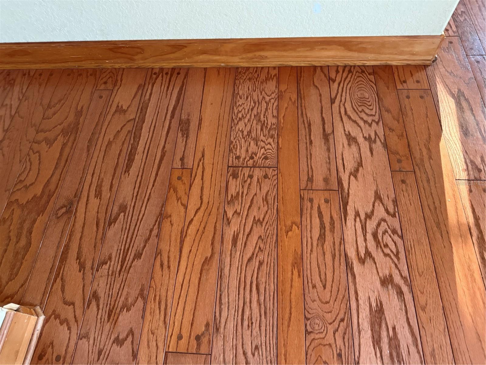 10555 NW 28TH PL, OCALA, FL, 34482