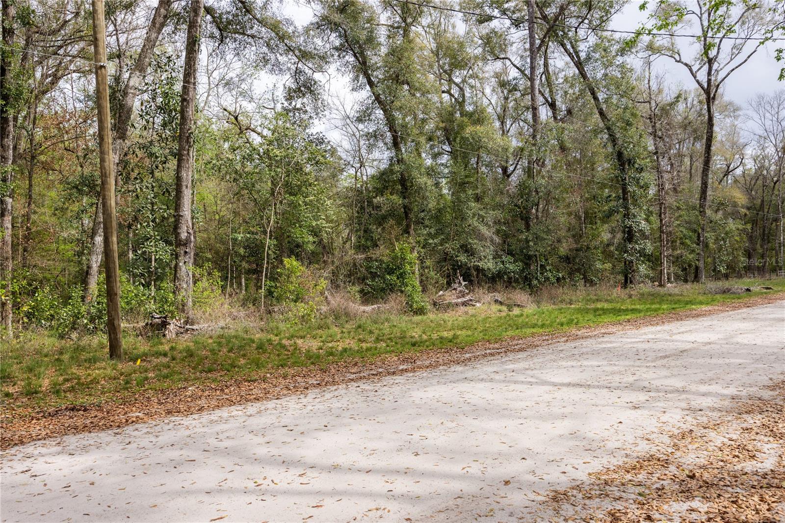 Lot 45 SW BOSTON TER, FORT WHITE, FL, 32038