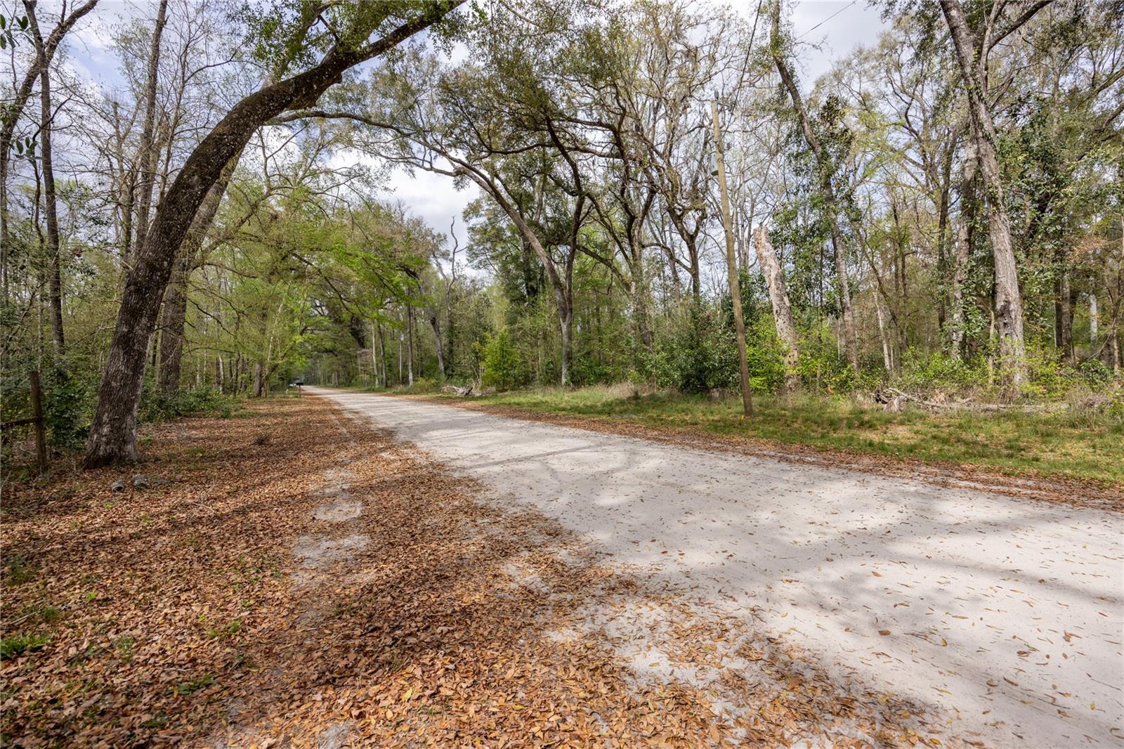 Lot 45 SW BOSTON TER, FORT WHITE, FL, 32038