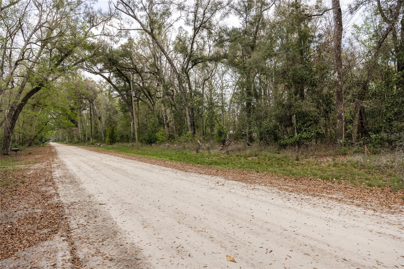 Lot 45 SW BOSTON TER, FORT WHITE, FL, 32038