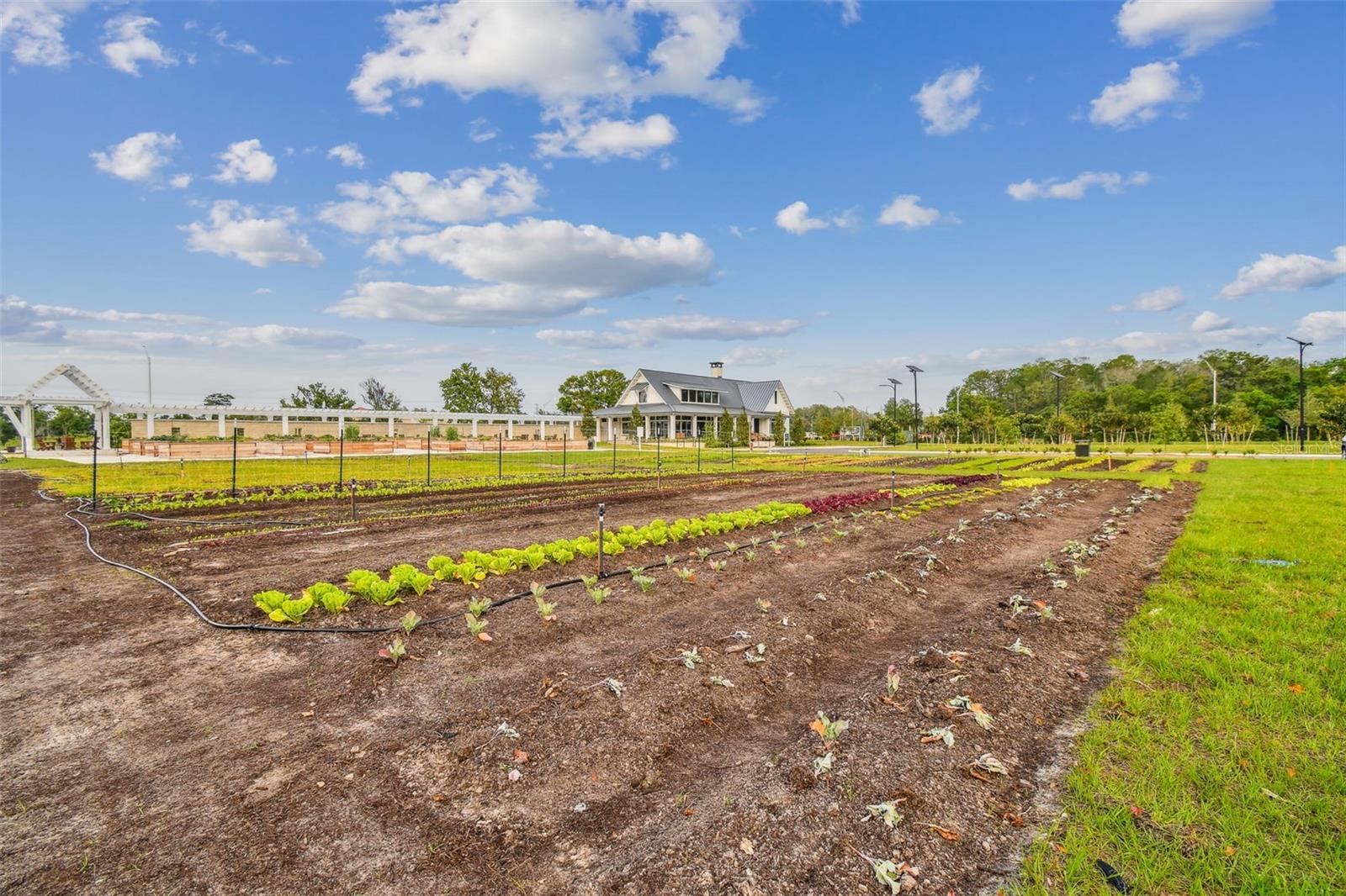 11032 CRESCENT DEER DR, LAND O LAKES, FL, 34638