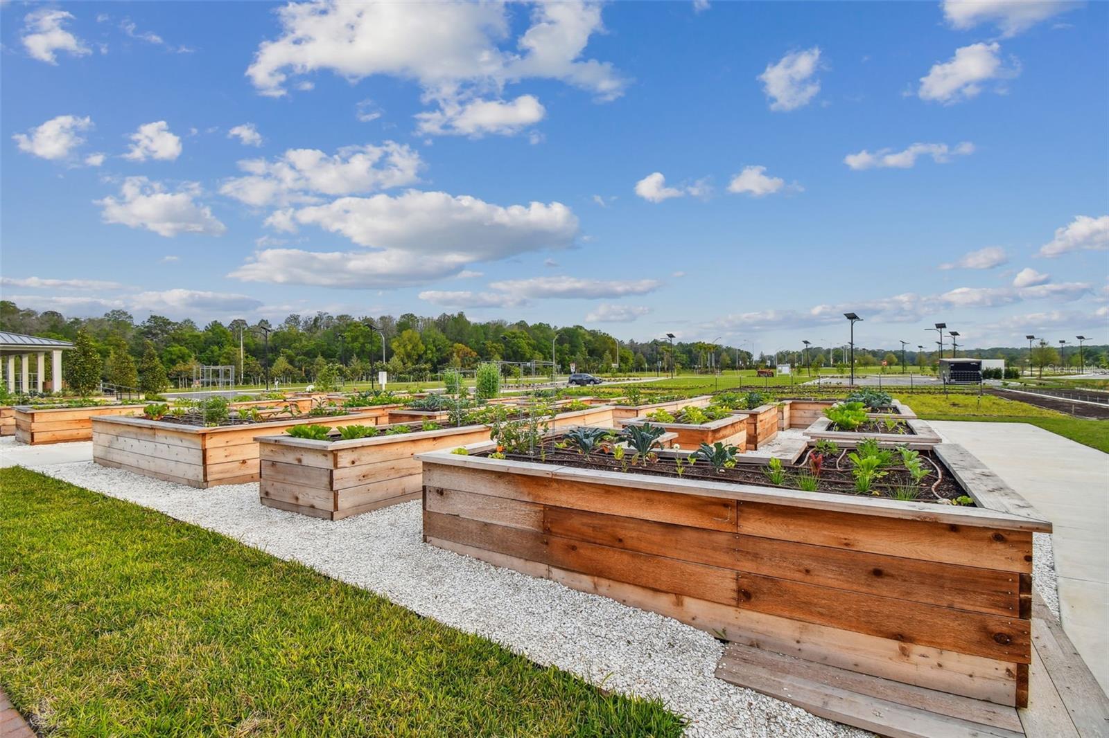 11032 CRESCENT DEER DR, LAND O LAKES, FL, 34638