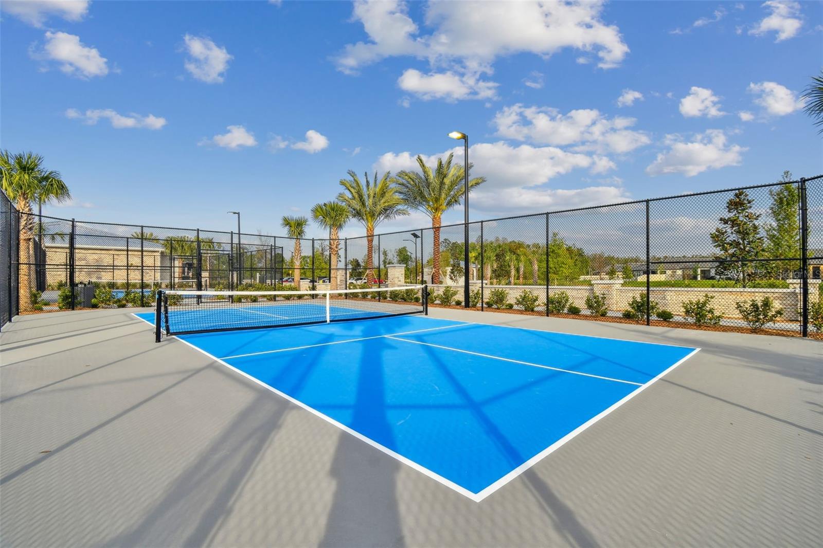 11032 CRESCENT DEER DR, LAND O LAKES, FL, 34638