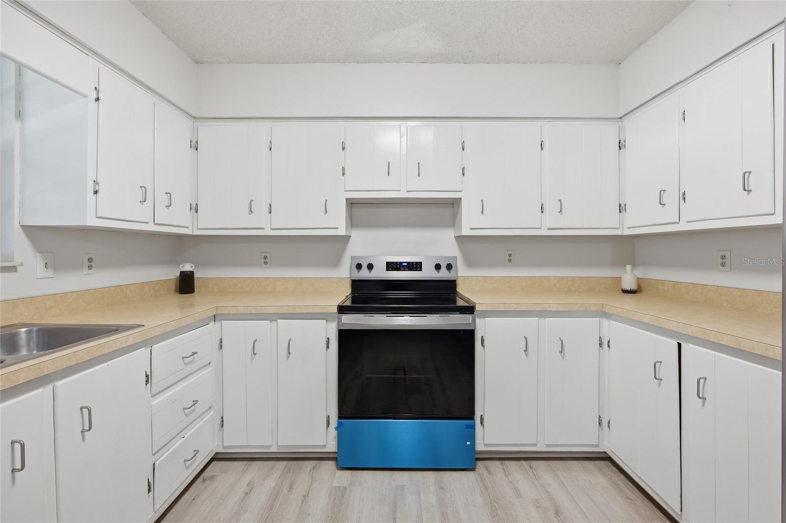 4300 NE 132ND PL, ANTHONY, FL, 32617