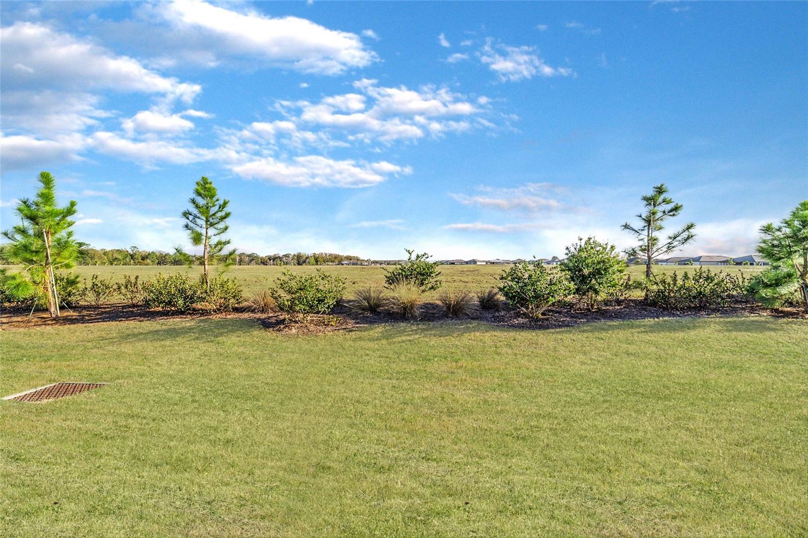 5543 SW 85TH AVENUE RD, OCALA, FL, 34481