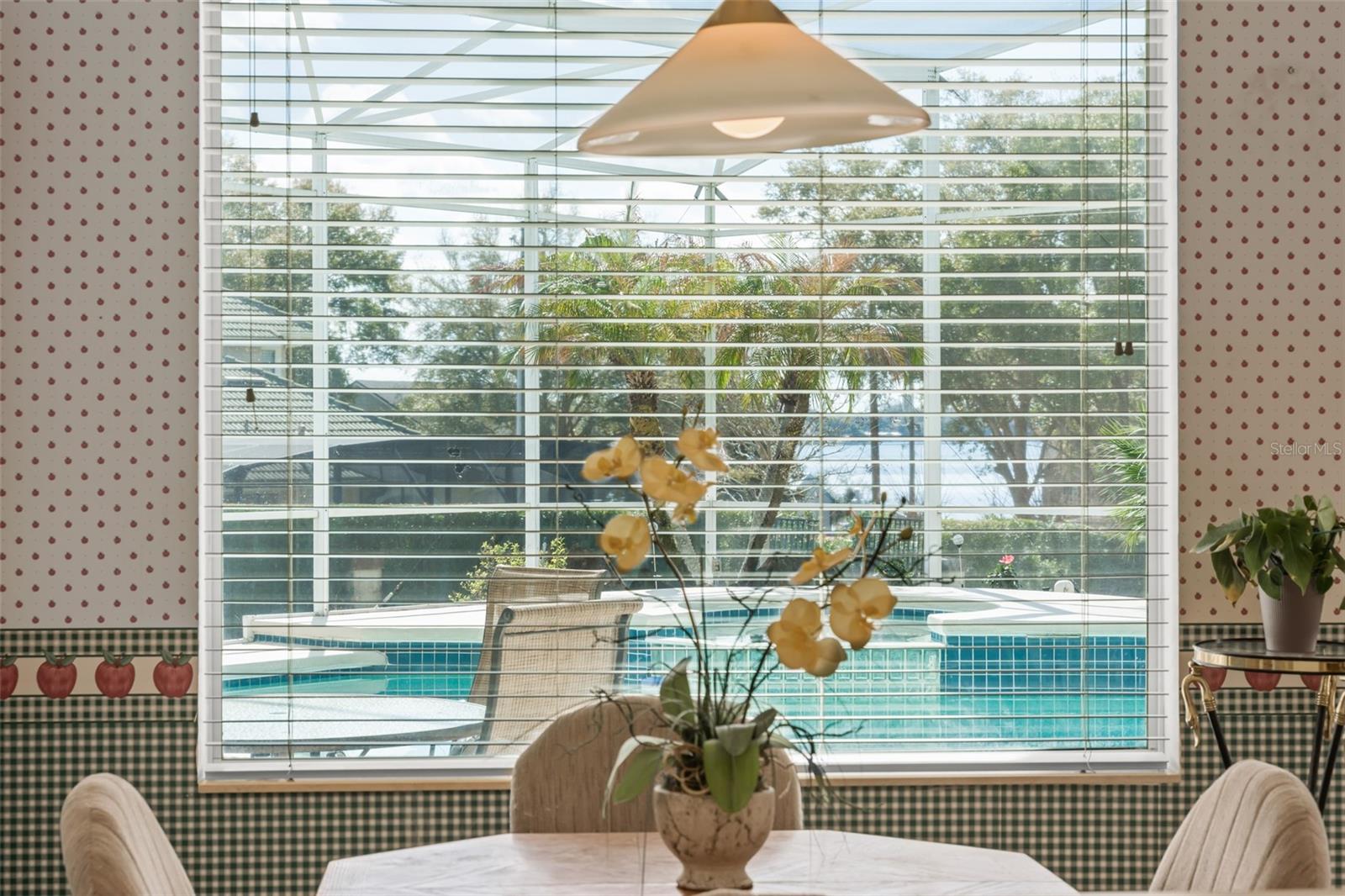 3138 SEIGNEURY DR, WINDERMERE, FL, 34786