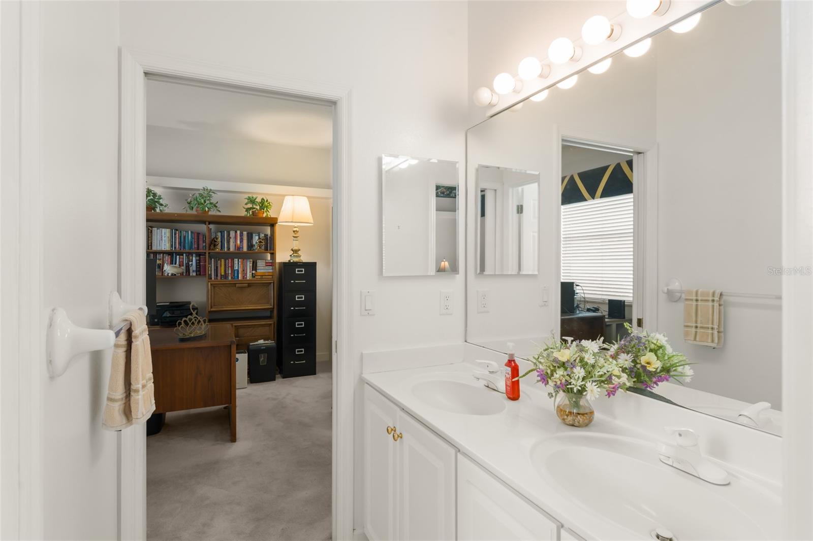 3138 SEIGNEURY DR, WINDERMERE, FL, 34786