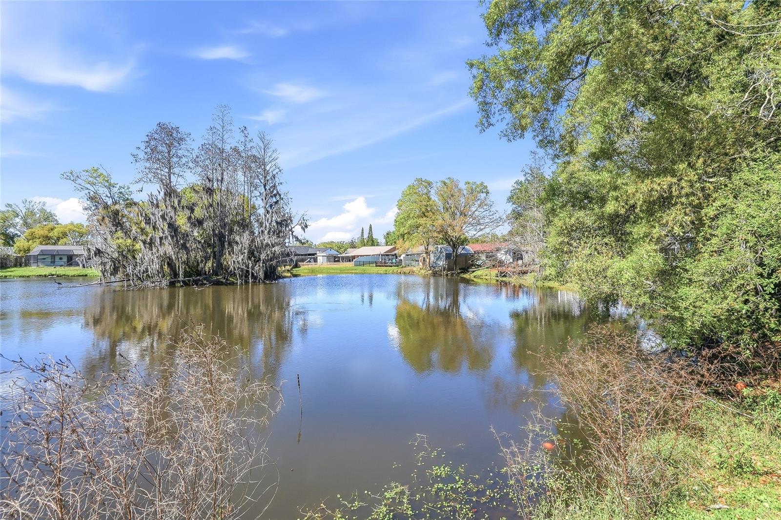 16133 SANDCREST WAY, TAMPA, FL, 33618