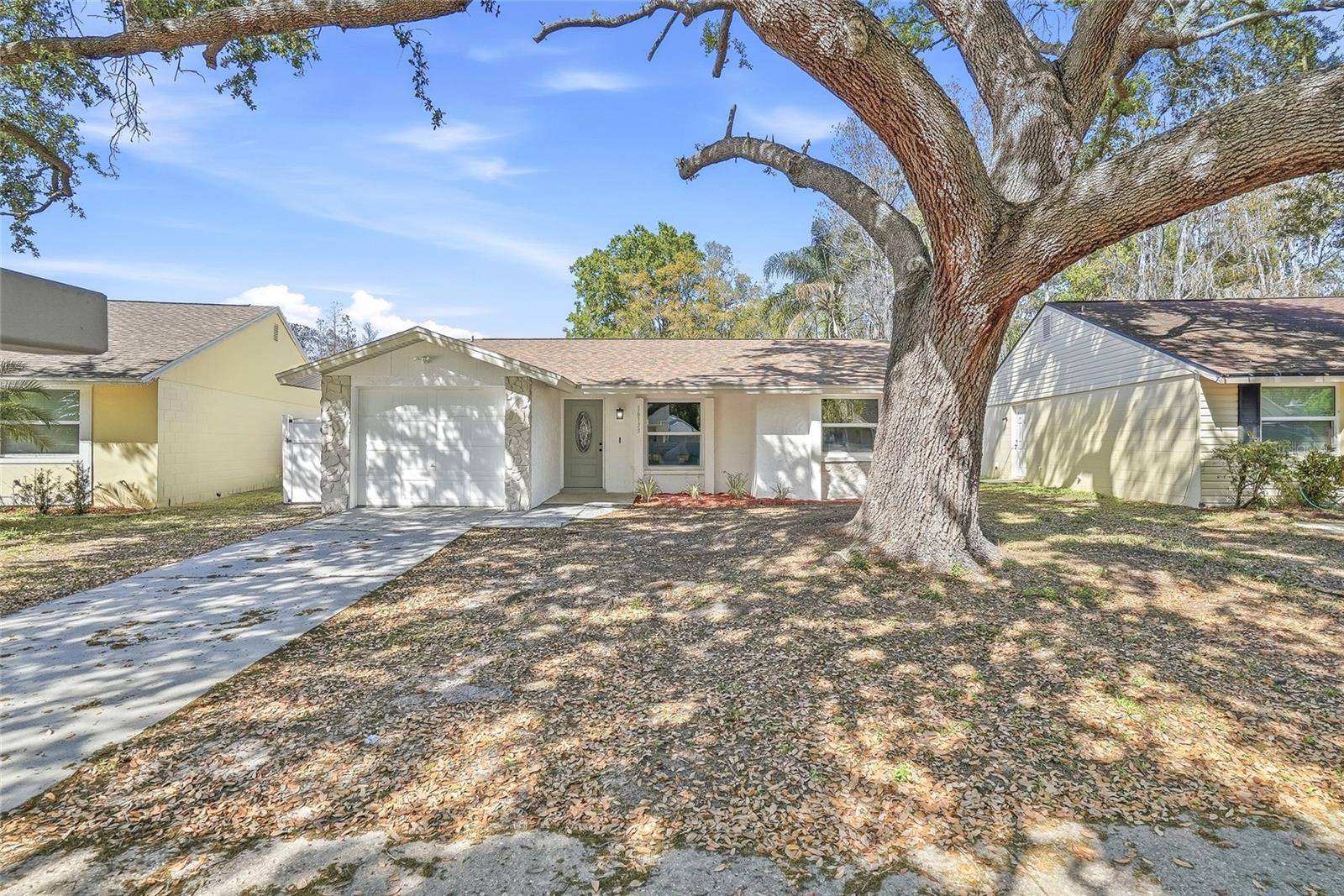 16133 SANDCREST WAY, TAMPA, FL, 33618