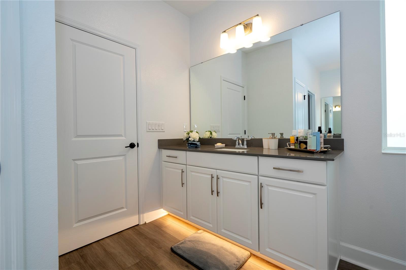 734 CREEPING FIG ST, APOPKA, FL, 32703