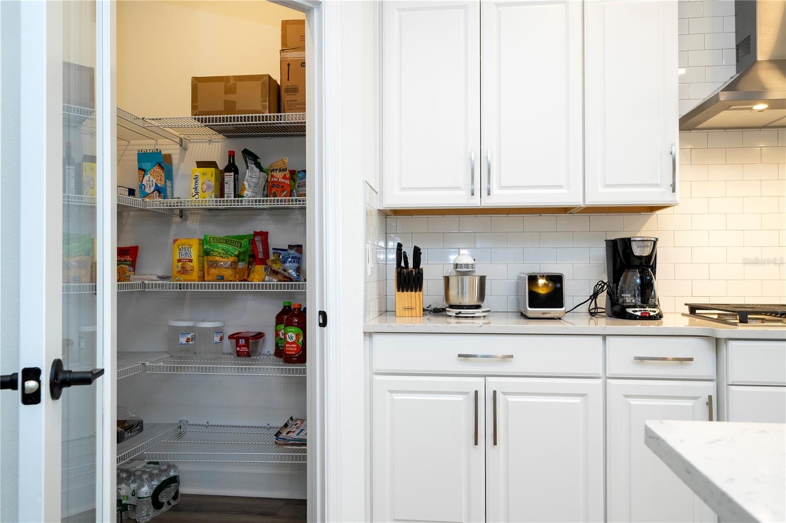 734 CREEPING FIG ST, APOPKA, FL, 32703