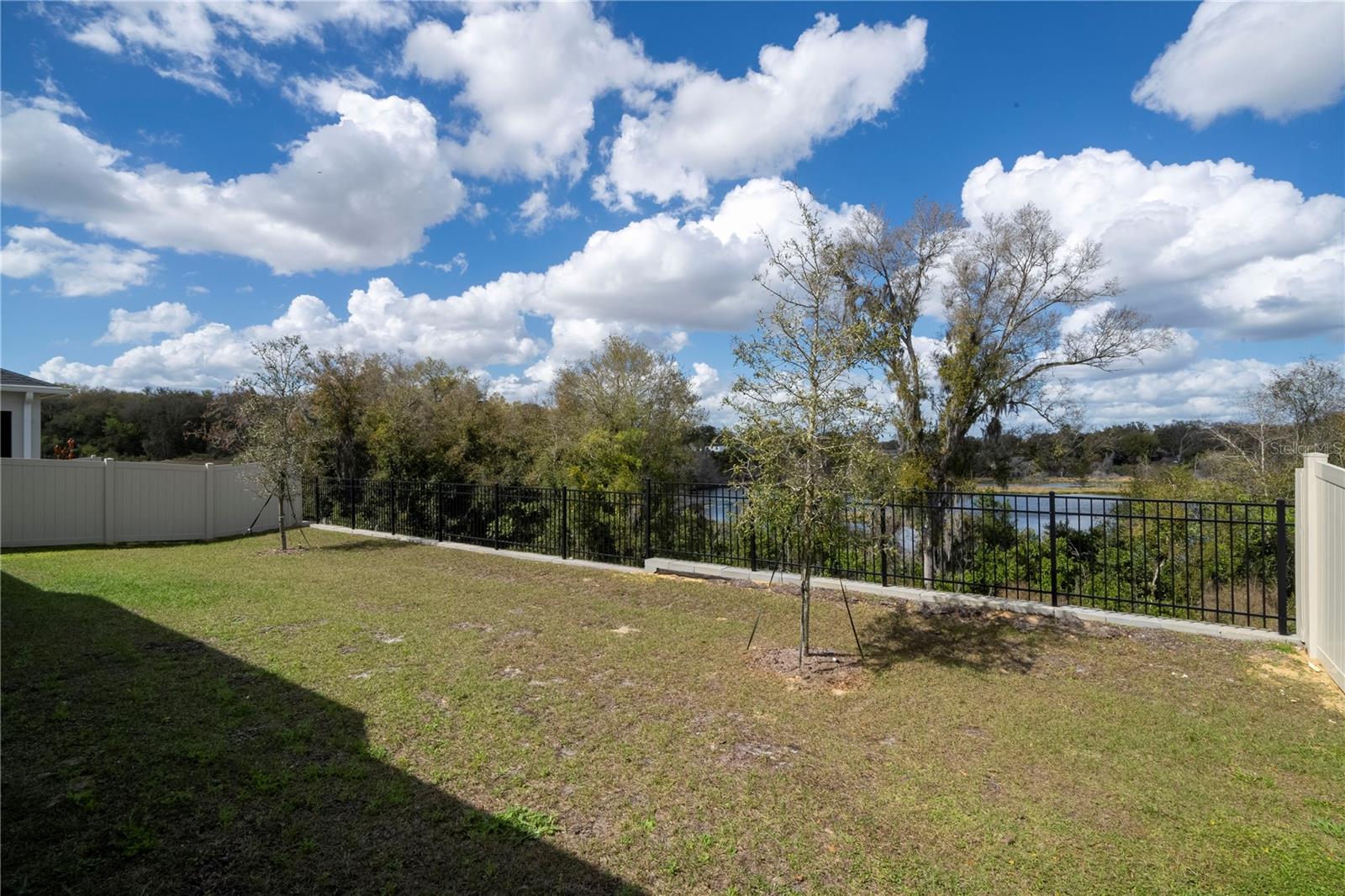 734 CREEPING FIG ST, APOPKA, FL, 32703