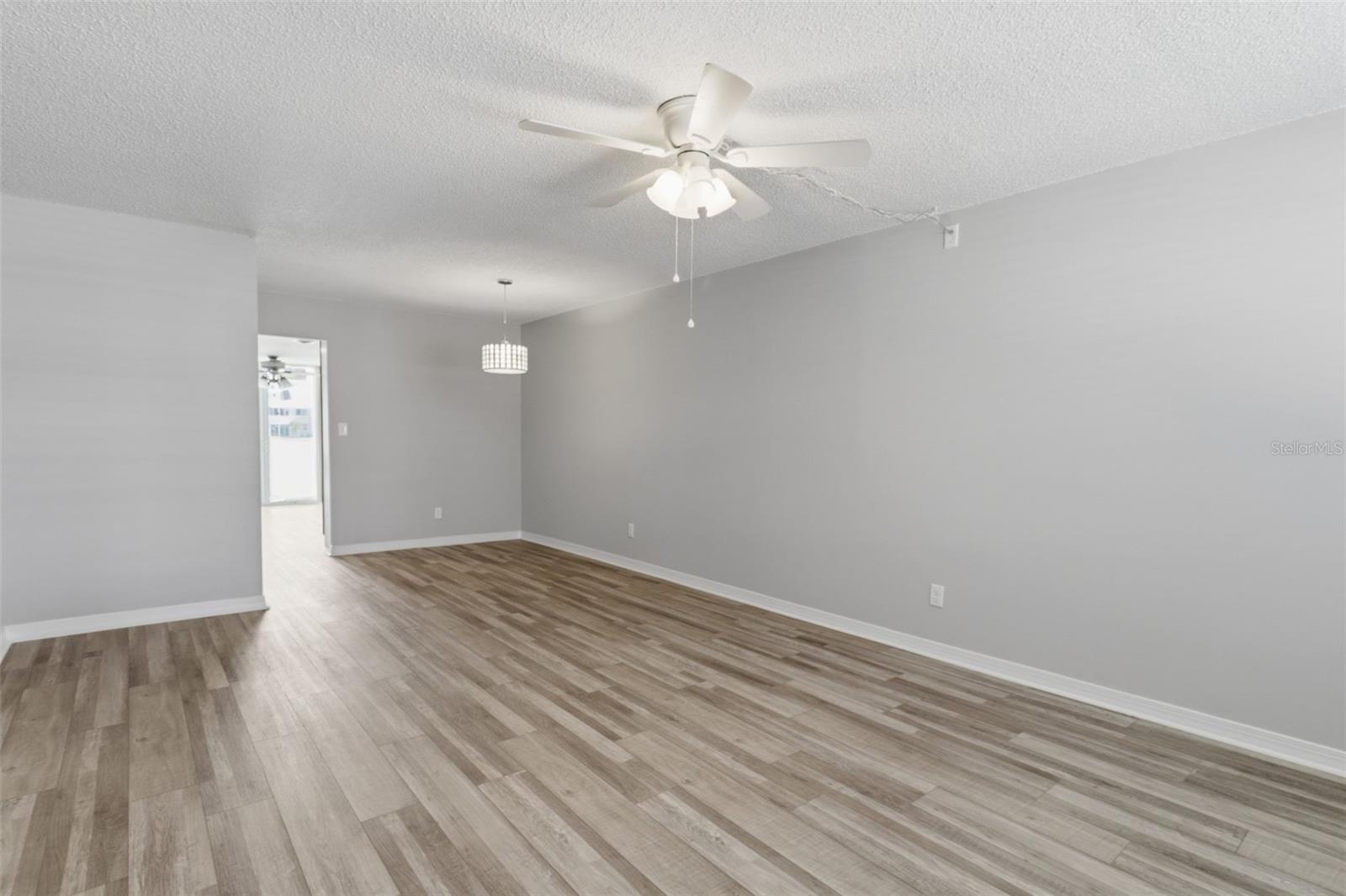 Living room and dining room combo