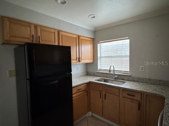 616 PALMER ST #B, ORLANDO, FL, 32801