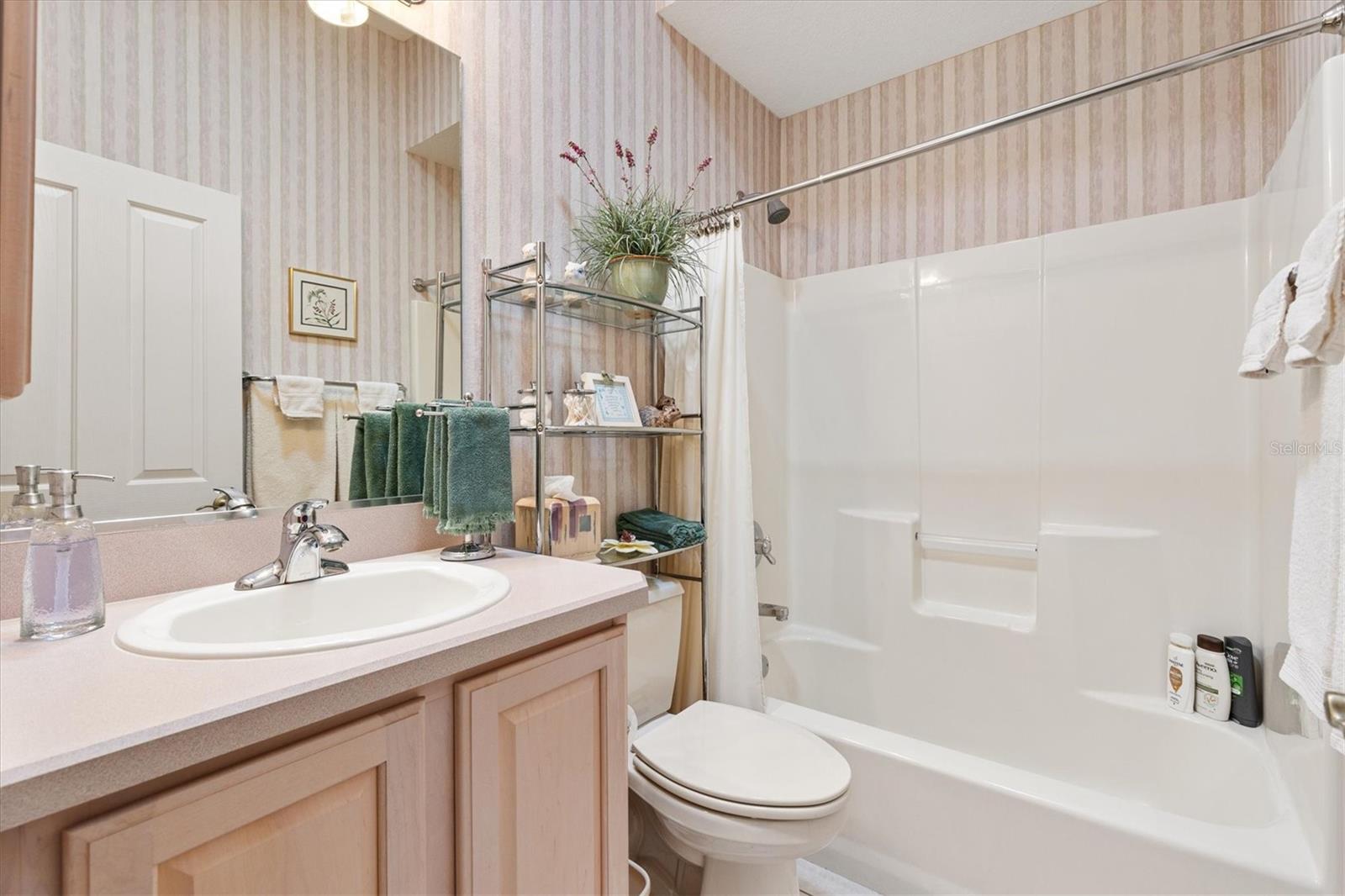 17648 SE 88TH COVINGTON CIR, THE VILLAGES, FL, 32162