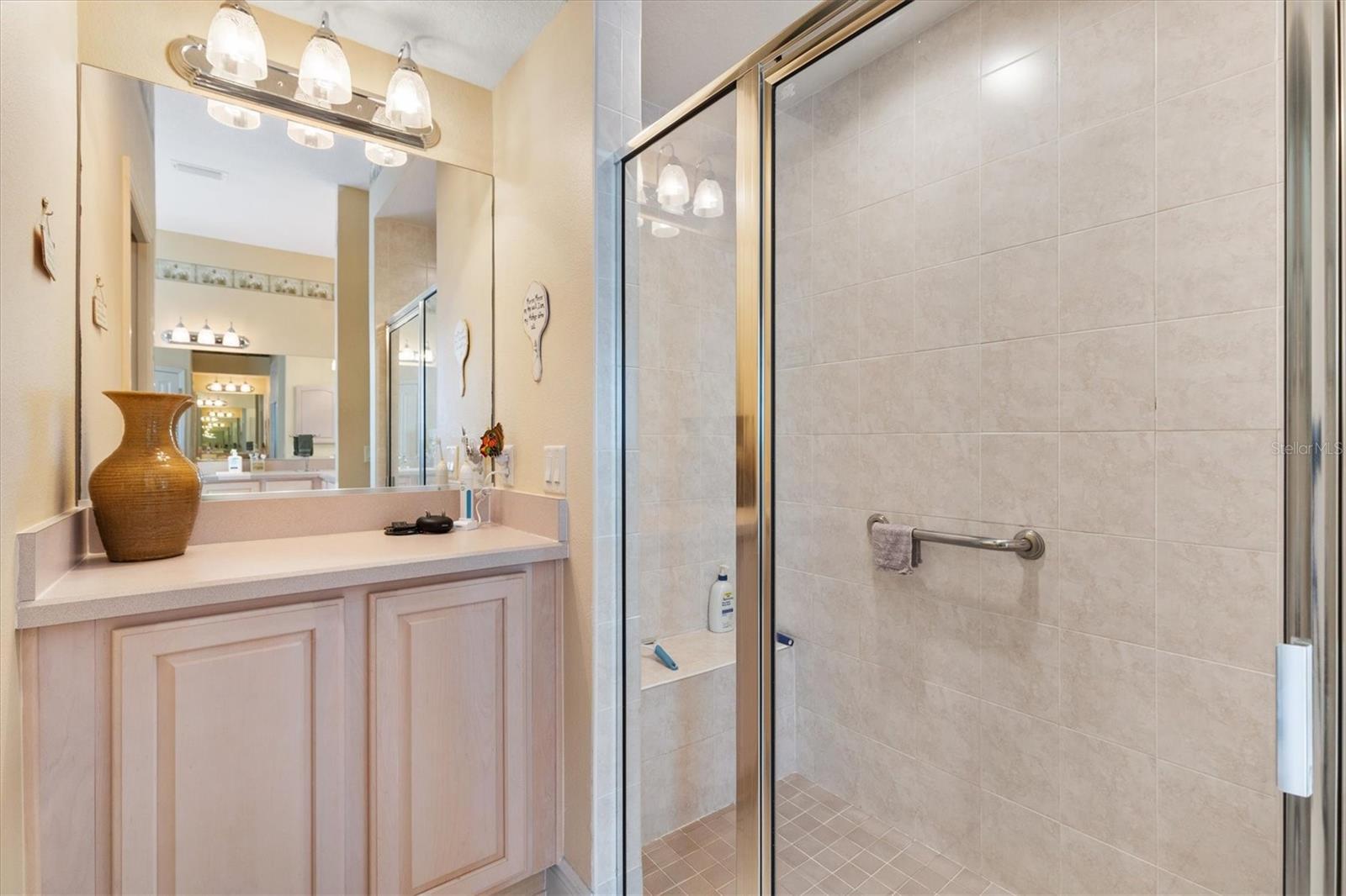 17648 SE 88TH COVINGTON CIR, THE VILLAGES, FL, 32162