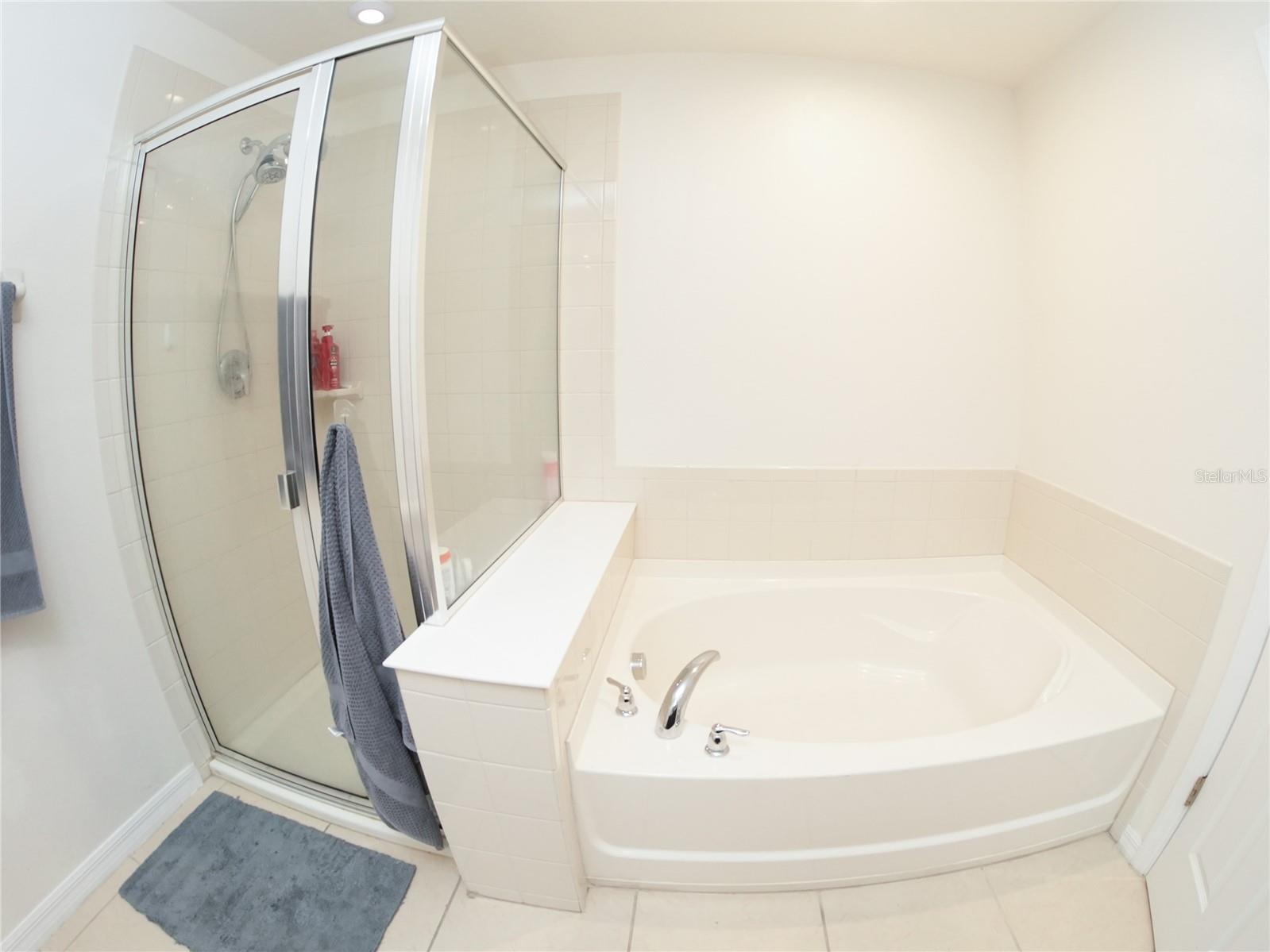 2451 VARENNA LOOP, KISSIMMEE, FL, 34741