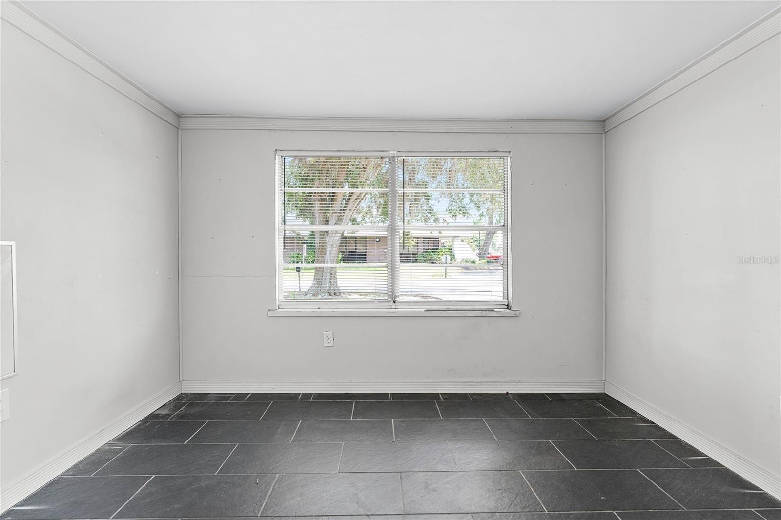 25 E PINECREST AVE, EUSTIS, FL, 32726