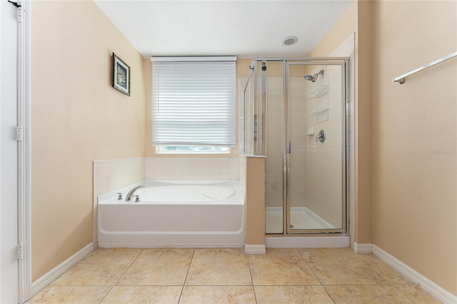 4752 BLUE DIAMOND ST, KISSIMMEE, FL, 34746