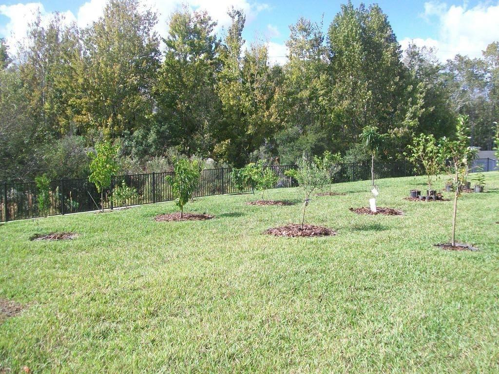 4752 BLUE DIAMOND ST, KISSIMMEE, FL, 34746