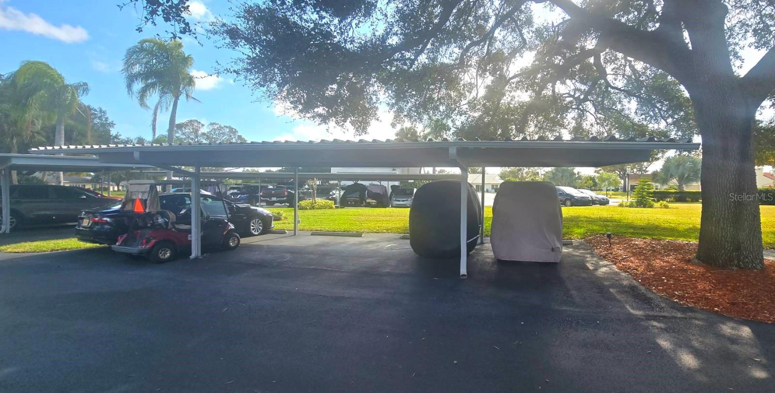 1001 TARTAN DR #302, PALM HARBOR, FL, 34684