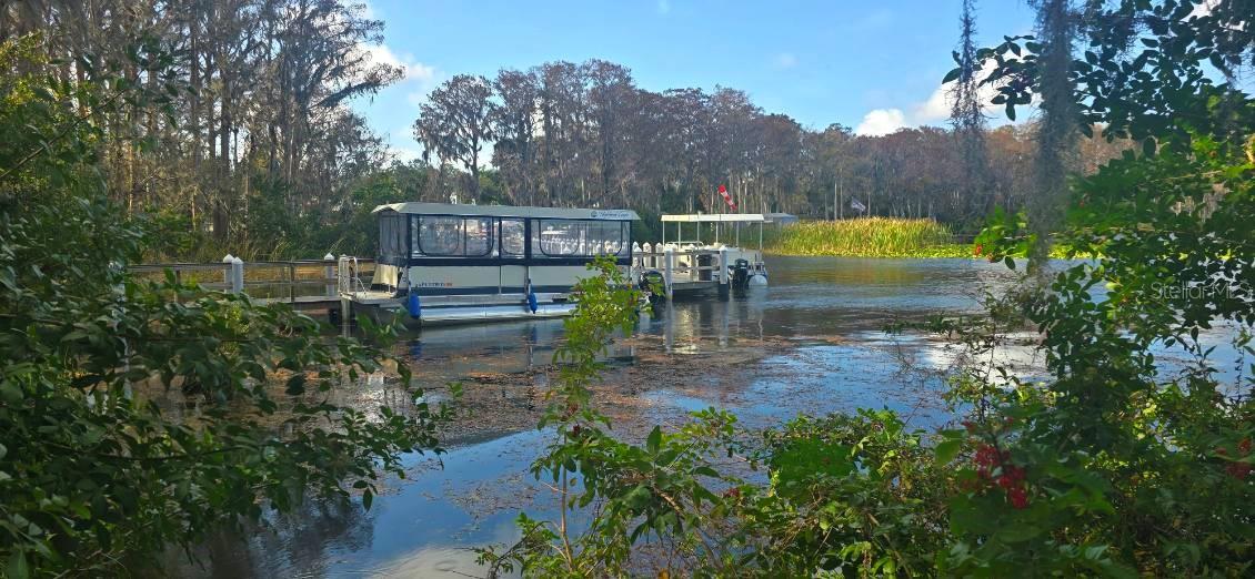 1001 TARTAN DR #302, PALM HARBOR, FL, 34684