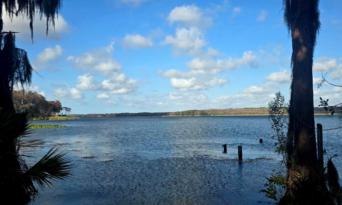 1001 TARTAN DR #302, PALM HARBOR, FL, 34684