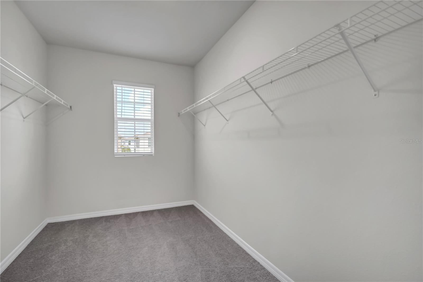32606 CANYONLANDS DR, WESLEY CHAPEL, FL, 33543