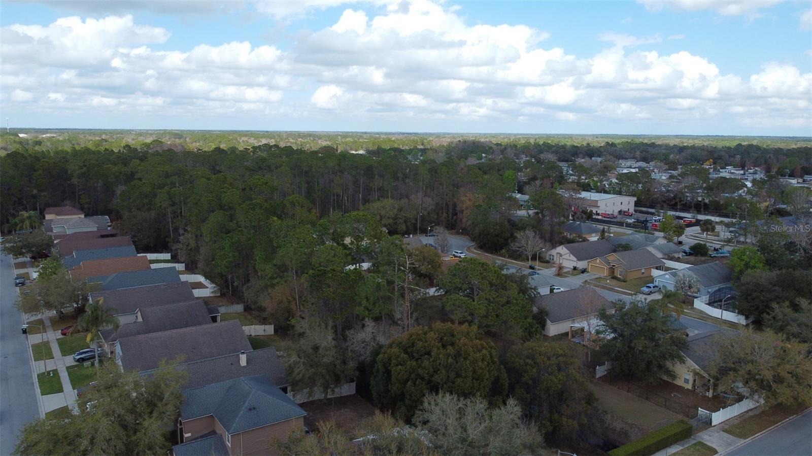 1902 PALMETTO PINE LN, ORLANDO, FL, 32826