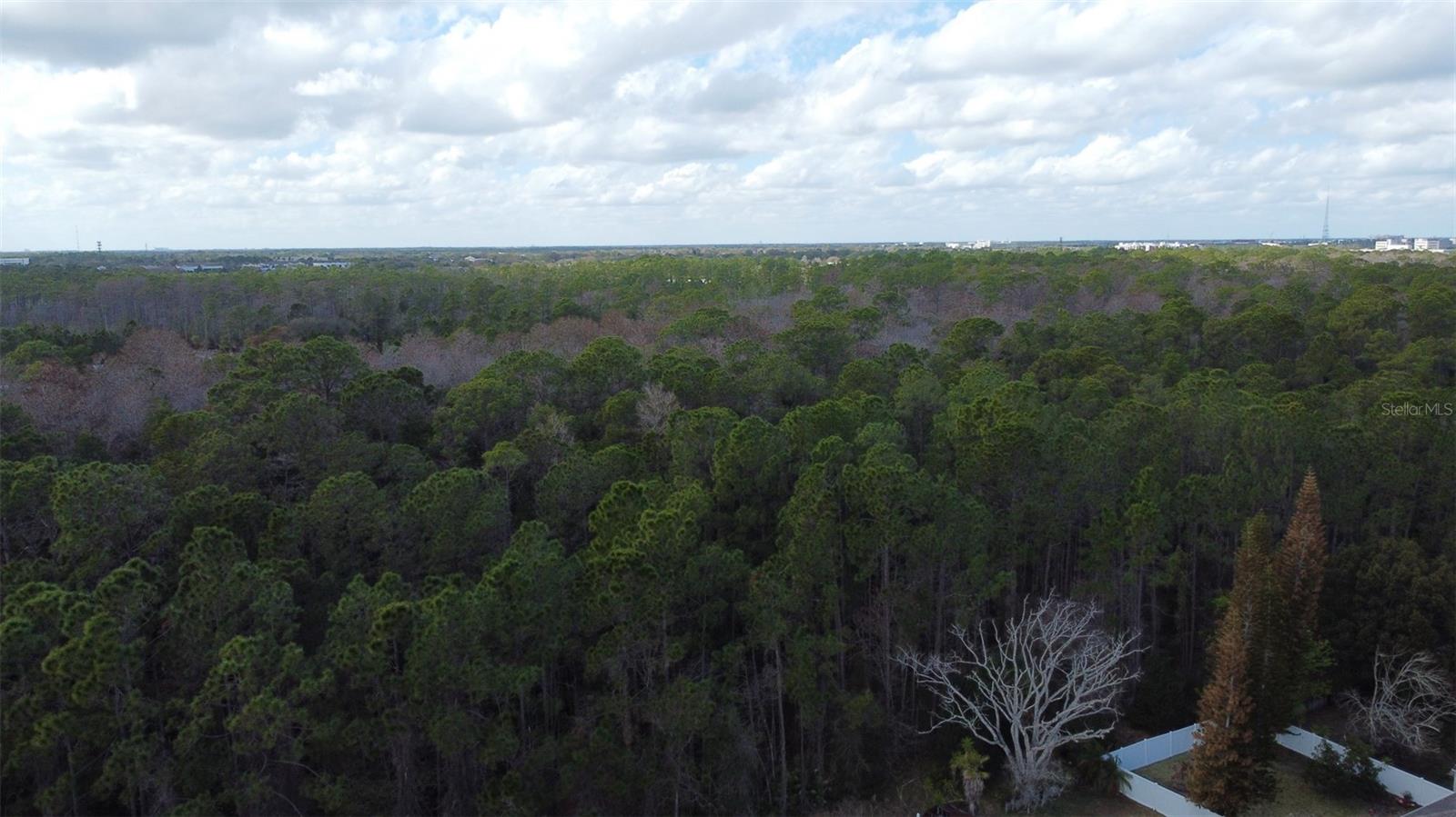 1902 PALMETTO PINE LN, ORLANDO, FL, 32826