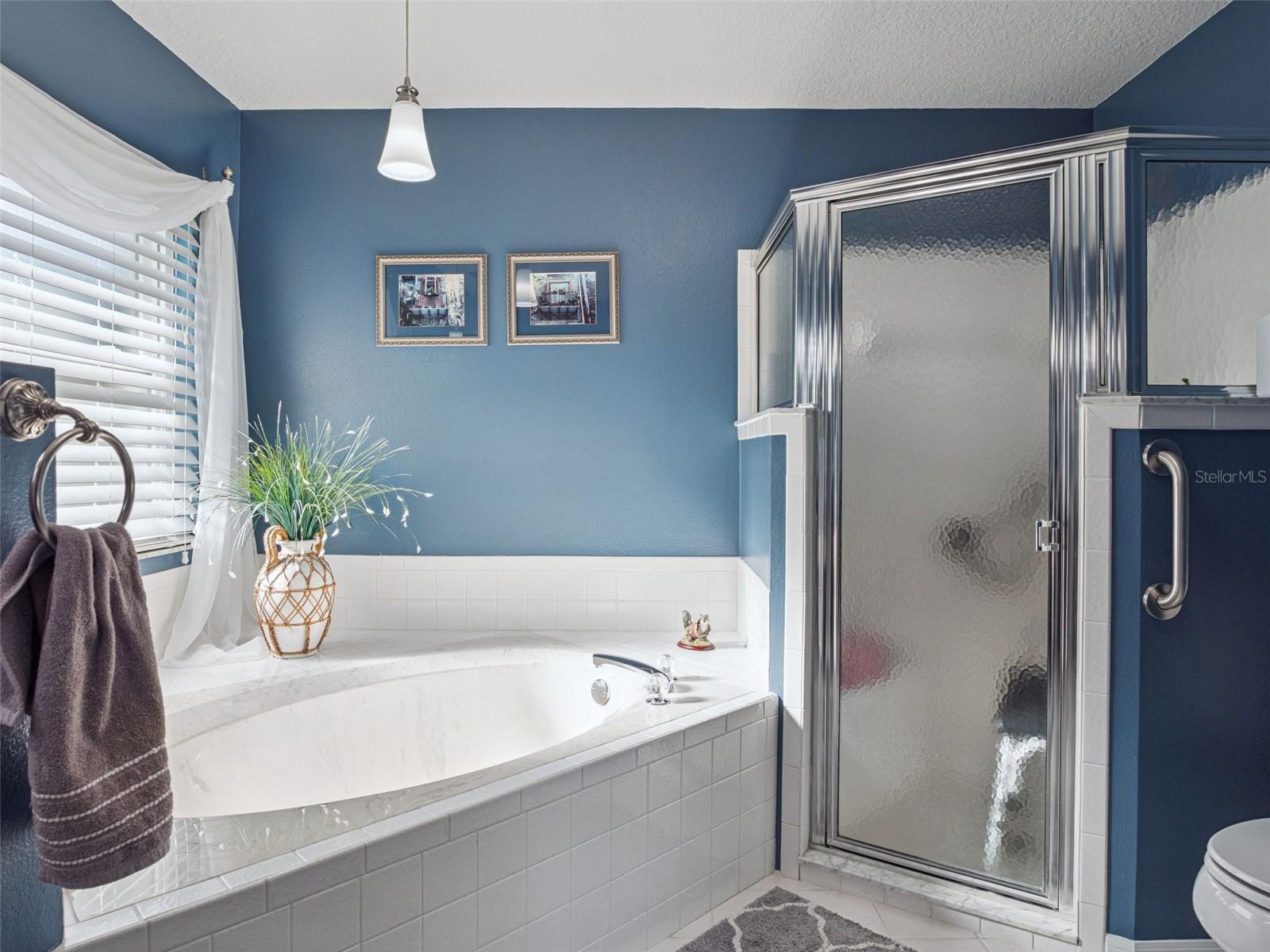 21533 KING HENRY AVE, LEESBURG, FL, 34748
