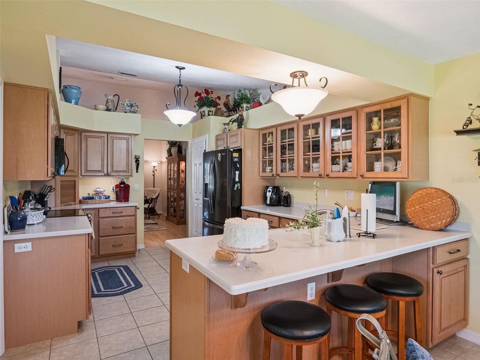 21533 KING HENRY AVE, LEESBURG, FL, 34748